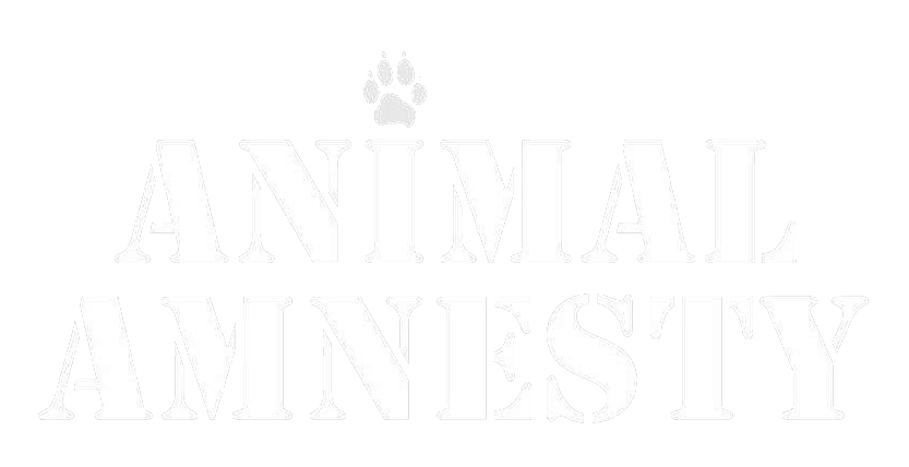Animal Amnesty